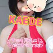 ヒメ日記 2025/11/08 12:51 投稿 かえで スイカ