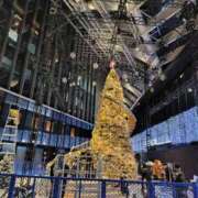 ヒメ日記 2025/11/09 16:44 投稿 かえで スイカ