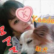 ヒメ日記 2025/11/11 21:38 投稿 かえで スイカ