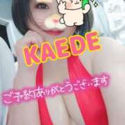 ヒメ日記 2025/11/15 10:45 投稿 かえで スイカ