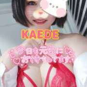 ヒメ日記 2025/11/15 12:54 投稿 かえで スイカ