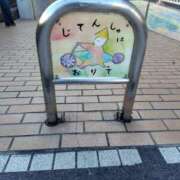 ヒメ日記 2025/11/15 16:22 投稿 かえで スイカ