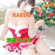 ヒメ日記 2025/11/17 19:08 投稿 かえで スイカ