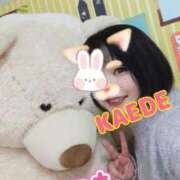 ヒメ日記 2025/11/20 23:04 投稿 かえで スイカ