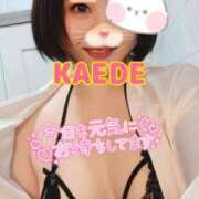 ヒメ日記 2025/11/22 12:54 投稿 かえで スイカ