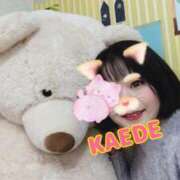 ヒメ日記 2025/11/24 15:09 投稿 かえで スイカ