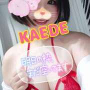 ヒメ日記 2025/11/28 12:51 投稿 かえで スイカ