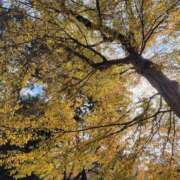 ヒメ日記 2025/12/01 22:46 投稿 かえで スイカ