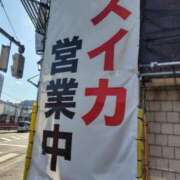 ヒメ日記 2025/12/03 09:03 投稿 かえで スイカ