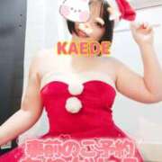 かえで 12月空き枠全貌 スイカ