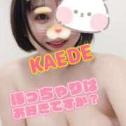 ヒメ日記 2025/12/10 18:54 投稿 かえで スイカ