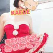 ヒメ日記 2025/12/12 12:54 投稿 かえで スイカ