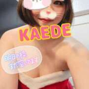 ヒメ日記 2025/12/12 22:22 投稿 かえで スイカ