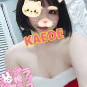 ヒメ日記 2025/12/13 16:04 投稿 かえで スイカ