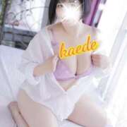 ヒメ日記 2025/12/17 14:57 投稿 かえで スイカ