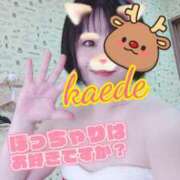 ヒメ日記 2025/12/18 22:40 投稿 かえで スイカ