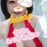 ヒメ日記 2025/12/30 19:51 投稿 かえで スイカ