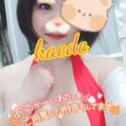 ヒメ日記 2026/01/03 10:21 投稿 かえで スイカ