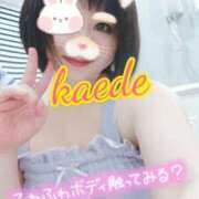 ヒメ日記 2026/01/11 22:29 投稿 かえで スイカ