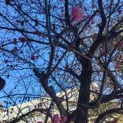 ヒメ日記 2026/01/13 12:18 投稿 かえで スイカ