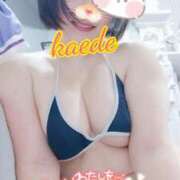 ヒメ日記 2026/01/17 14:22 投稿 かえで スイカ