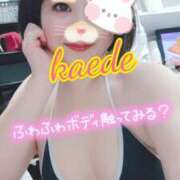 ヒメ日記 2026/01/19 13:22 投稿 かえで スイカ