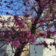 ヒメ日記 2026/01/19 21:48 投稿 かえで スイカ