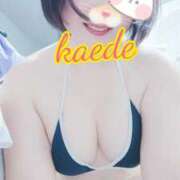 ヒメ日記 2026/01/23 09:48 投稿 かえで スイカ