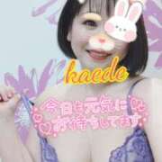 ヒメ日記 2026/01/24 10:04 投稿 かえで スイカ