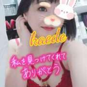 ヒメ日記 2026/01/26 22:25 投稿 かえで スイカ