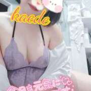 ヒメ日記 2026/01/31 12:59 投稿 かえで スイカ