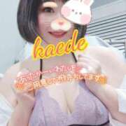 ヒメ日記 2026/02/02 20:17 投稿 かえで スイカ