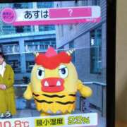 ヒメ日記 2026/02/03 17:30 投稿 かえで スイカ