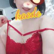 ヒメ日記 2026/02/07 15:22 投稿 かえで スイカ