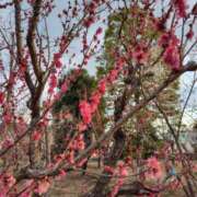ヒメ日記 2026/02/12 21:30 投稿 かえで スイカ