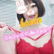 ヒメ日記 2026/02/15 19:17 投稿 かえで スイカ