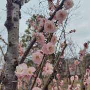 ヒメ日記 2026/02/20 17:56 投稿 かえで スイカ