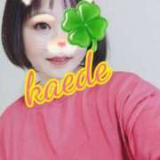 ヒメ日記 2026/02/22 21:23 投稿 かえで スイカ