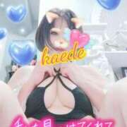 ヒメ日記 2026/02/23 22:56 投稿 かえで スイカ