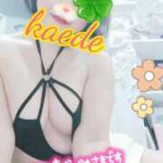 ヒメ日記 2026/02/24 20:09 投稿 かえで スイカ