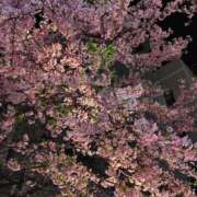 ヒメ日記 2026/03/01 21:34 投稿 かえで スイカ