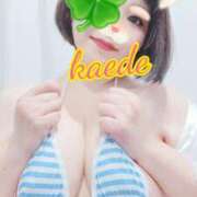 ヒメ日記 2026/03/06 18:13 投稿 かえで スイカ