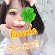 ヒメ日記 2026/03/10 20:10 投稿 かえで スイカ