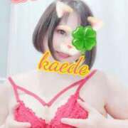 ヒメ日記 2026/03/13 14:55 投稿 かえで スイカ