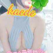 ヒメ日記 2026/03/14 14:30 投稿 かえで スイカ