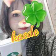 ヒメ日記 2026/03/19 19:53 投稿 かえで スイカ