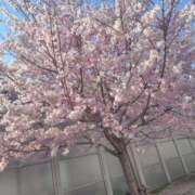 ヒメ日記 2026/03/23 19:27 投稿 かえで スイカ