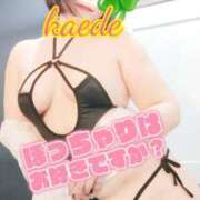 ヒメ日記 2026/03/27 08:05 投稿 かえで スイカ