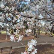 ヒメ日記 2026/03/27 19:03 投稿 かえで スイカ