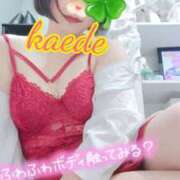 ヒメ日記 2026/03/28 12:44 投稿 かえで スイカ